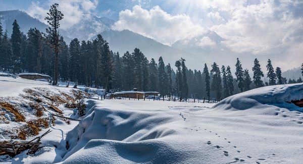 Kashmir Honeymoon